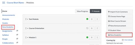 Canvas How To Course Analytics California State University Stanislaus