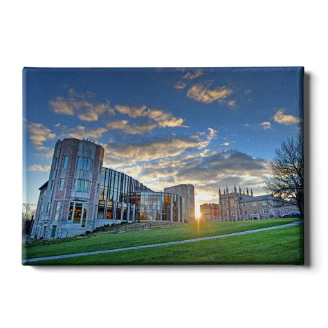 WashU Canvas Login Guide
