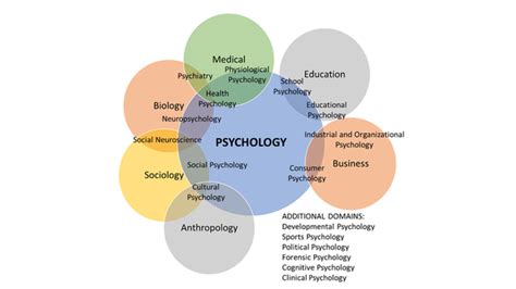 Careers In Psychology Wtamu Careers In Psychology Wtamu