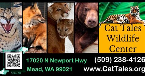 Cat Tales Wildlife Center 2026 All You Must Know Before You Go With Reviews