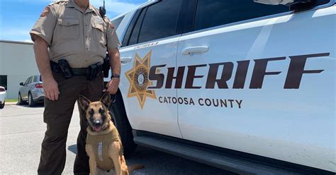 Catoosa Sheriff S Office K 9 Helps Capture Fleeing Suspect News Northwestgeorgianews Com
