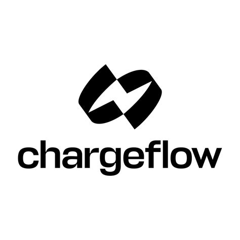 Chargeflow Payments Information