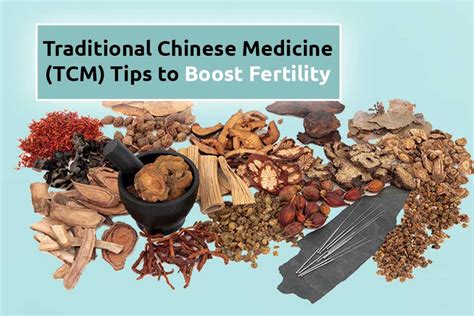 Chinese Medicine Tcm Tips That Will Transform Your Life Chinese Medicine Tcm Tips That Will Transform Your Life