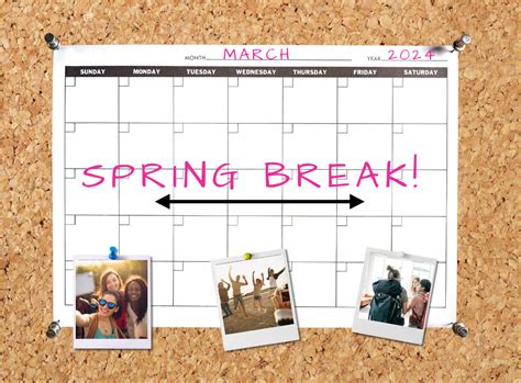 College Students Spring Break Essential Tips Rachael S First Week