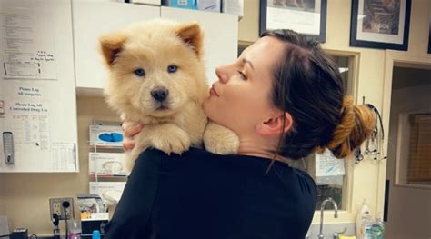 Cost Of Penn Foster Vet Tech Program