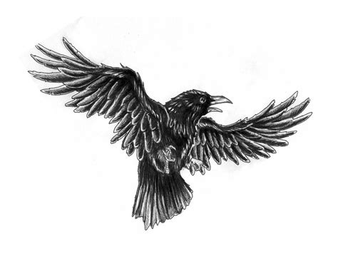 Crow Tattoo Drawing At Paintingvalley Com Explore Collection Of Crow Tattoo Drawing
