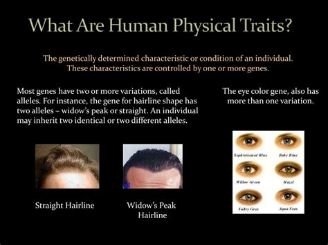 5 Key Physical Traits