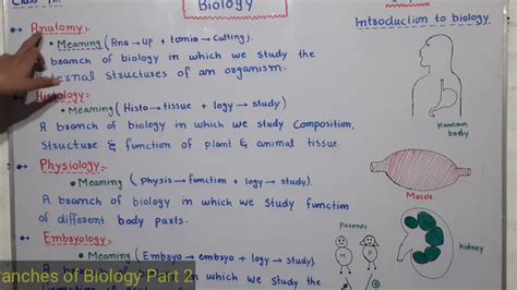 Definition Of Anatomy Physiology Histology And Embryology