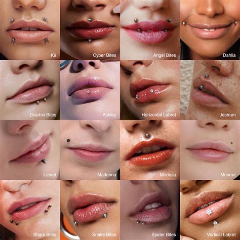 Different Lip Piercing Styles Essential Beauty Piercing