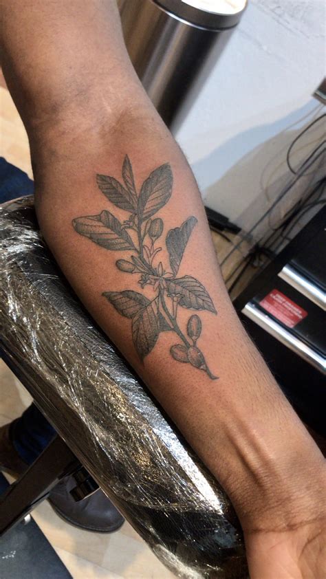 Don T See A Lot Of Darker Skin Tattoos On Here So I Offer Up My First Tattoo Coffee Plant By Barham Williams At Fable Tattoo In Richmond Va R Tattoos