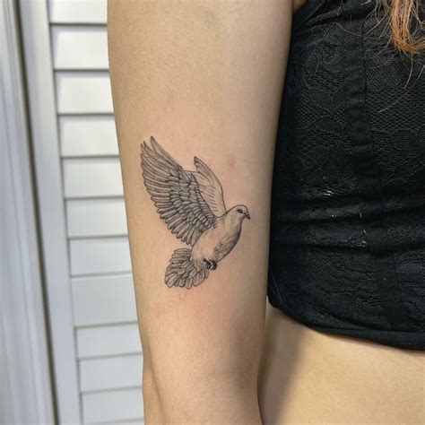 Dove Bird Tattoo Meaning