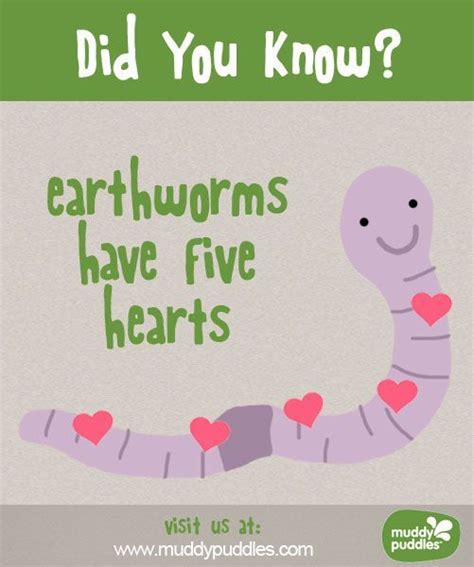 Earthworms Have Five Hearts Funny Cute Valentine S Day Anniversary Or Birthday Card Amazon Co Uk Stationery Office Supplies