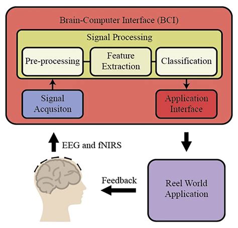 Eeg Signal Characteristics And Artifacts Brain Computer Interfaces Class Notes Eeg Signal Characteristics And Artifacts Brain Computer Interfaces Class Notes