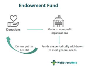 Endowment Fund What Is It Example Types Features