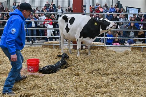 Eventful What To Expect At The 2026 Pennsylvania Farm Show Eventful What To Expect At The 2026 Pennsylvania Farm Show