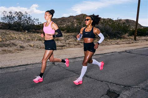 Everything You Need To Know About Pa Cs Everything You Need To Know About Pa Cs