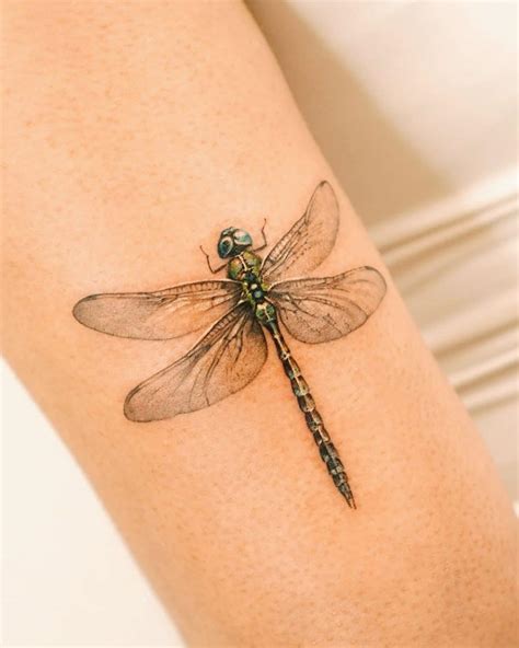 Explore Dragonfly Tattoo Deep Meaning And Creative Design Options