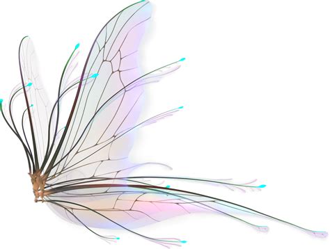 Fairy Wings Png Butterfly Wing Tattoo Design Transparent Png 600X596 Free Download On Nicepng Fairy Wings Png Butterfly Wing Tattoo Design Transparent Png 600X596 Free Download On Nicepng