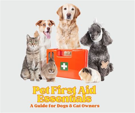 First Aid For Pets A Guide For Pet Owners My Vet Site