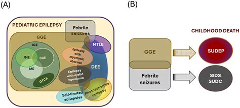 Frontiers Developmental Mechanisms Underlying Pediatric Epilepsy Frontiers Developmental Mechanisms Underlying Pediatric Epilepsy
