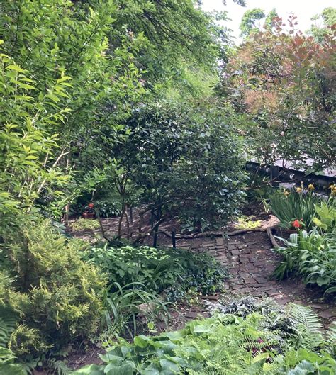 5 Tips Gardens Utica