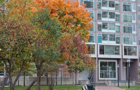 Harrison College House Penn Residential Services Harrison College House Penn Residential Services