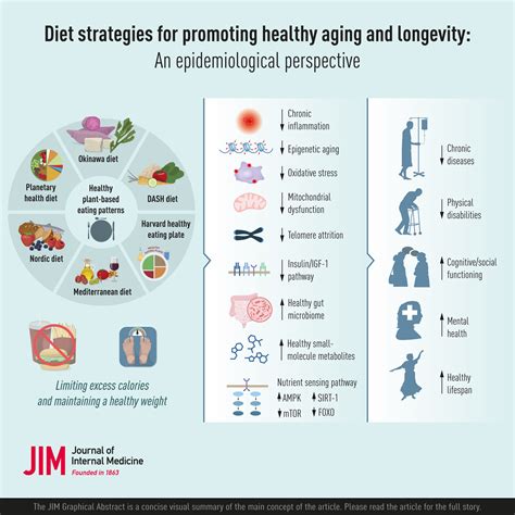 Healthy Aging Longevity Healthy Aging Longevity