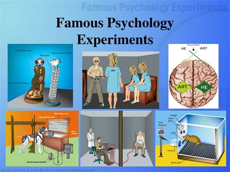 Here Are 5 Classic Psychology Experiments You Must Know For Your Entrance Exams Go Through Each Slide Carefully They Ll Help You Understand The Concepts Better And Handle Application Based Questions With More Confidence Here Are 5 Classic Psychology Experiments You Must Know For Your Entrance Exams Go Through Each Slide Carefully They Ll Help You Understand The Concepts Better And Handle Application Based Questions With More Confidence