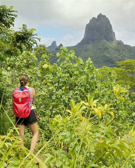 Hikes In Moorea Hi From Ashley