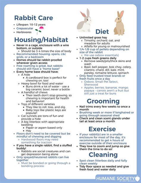 Hoppy And Healthy A Beginner S Guide To Proper Rabbit Care Humane Society Of West Michigan Hoppy And Healthy A Beginner S Guide To Proper Rabbit Care Humane Society Of West Michigan