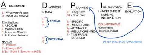 Hospice Nursing Adpie Compassion Crossing