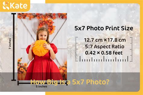How Big Is A 5X7 Photo Size Guide Amp Editing Tips