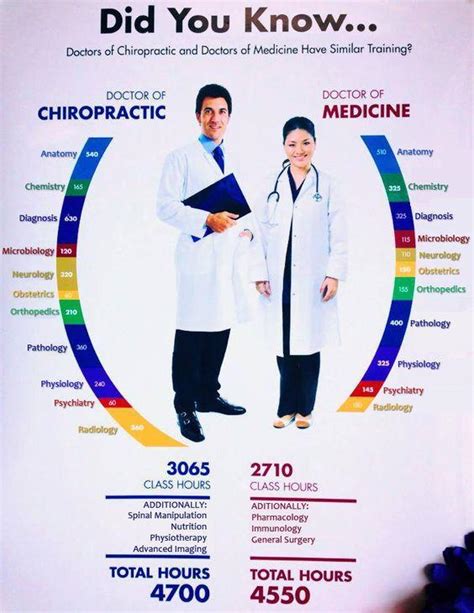 How To Become A Chiropractor Required Education For Chiropractors How To Become A Chiropractor Required Education For Chiropractors