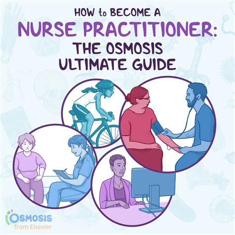 How To Become A Nurse Practitioner The Osmosis Ultimate Guide Osmosis Blog How To Become A Nurse Practitioner The Osmosis Ultimate Guide Osmosis Blog