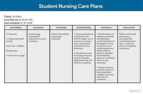 How To Write A Nursing Care Plan Osmosis Blog