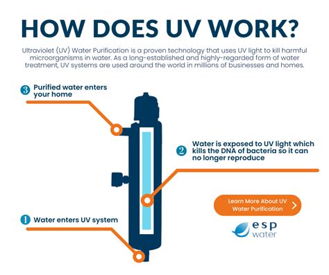 How Ultraviolet Light Works How Ultraviolet Light Works