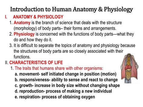 Human Physiology Ppt