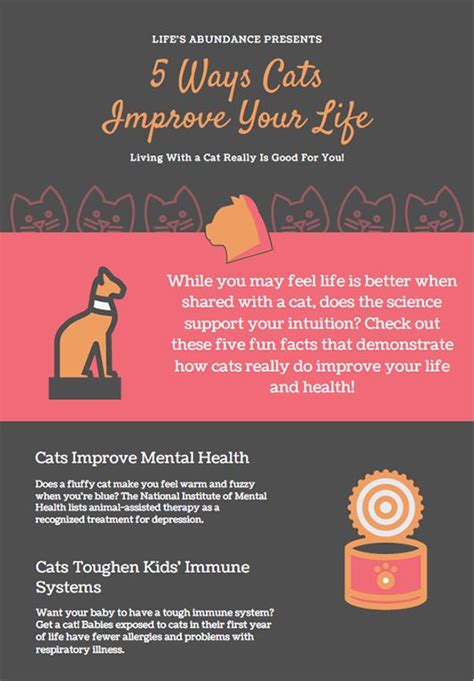 Infographic 5 Ways Cats Improve Your Life