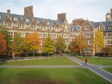 Is Upenn Test Optional Requirements Tips Admissionsight