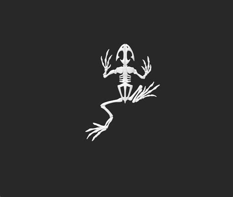 It S Based On The Navy Seal Logo Jimmy Is Definitely A Bit Of A Dinosaur Frog Man