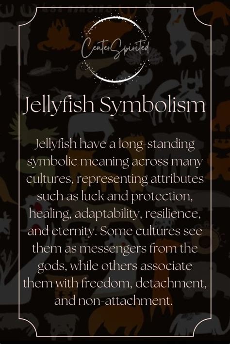 Jellyfish Symbolism Spiritual Meaning And Totem Animal