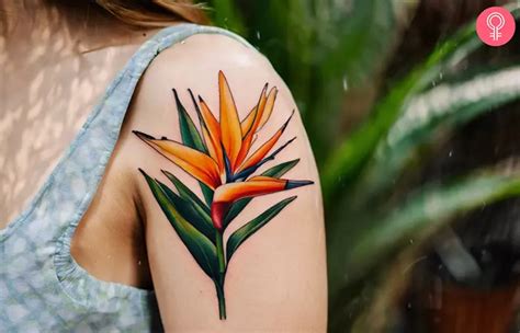 Jingxi Gu Birds Of Paradise Tattoo I Enjoyed Making These 1 Session Plant Tattoos And I Want To Make Up To 10 More Of These On My Break Days Instagram