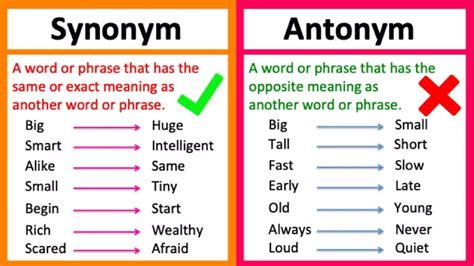 Jurisdiction Synonyms Antonyms And Meaning Explained