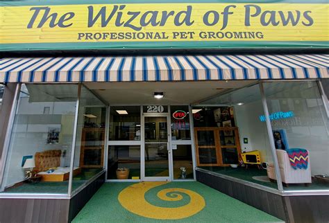 Kingstonist S Wizard Of Paws Be Kind To Your Vet Staff Kingston News