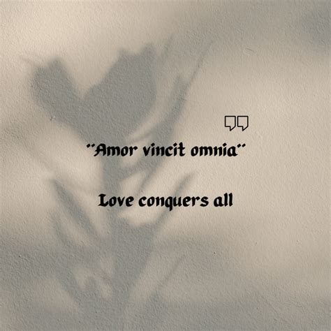 Latin Phrases About Love 2025