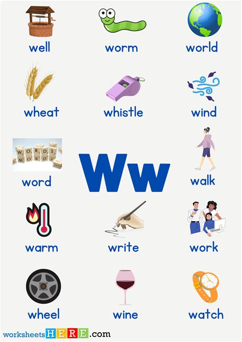 Letter W Words For Kids W Letter Words English Vocabulary Learn English For Kids Youtube