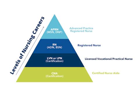 Levels Of Nursing Explained Intelycare