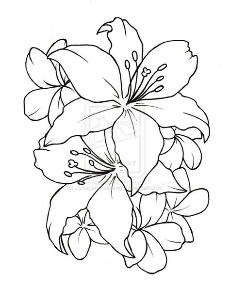 Lily Tattoo Template Printable At A Glance