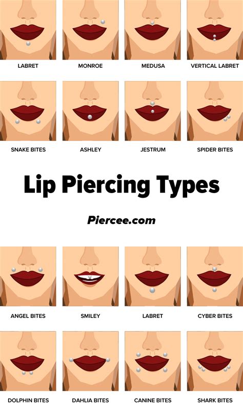 Lip Piercing Types A Comprehensive List