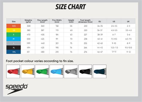 Long Blade Speedo Fins Size Guide Best Speedo Swim Fins Size Chart New Arrivals Comfortable Silicone